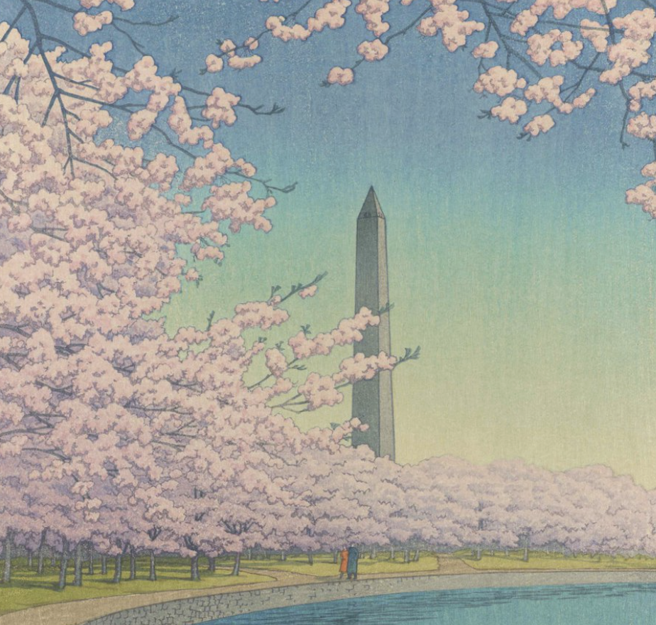 Smithsonian National Museum of Asian Art Virtual Tours